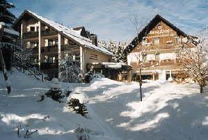 Hotel Berghof Willingen  Ngoại thất bức ảnh